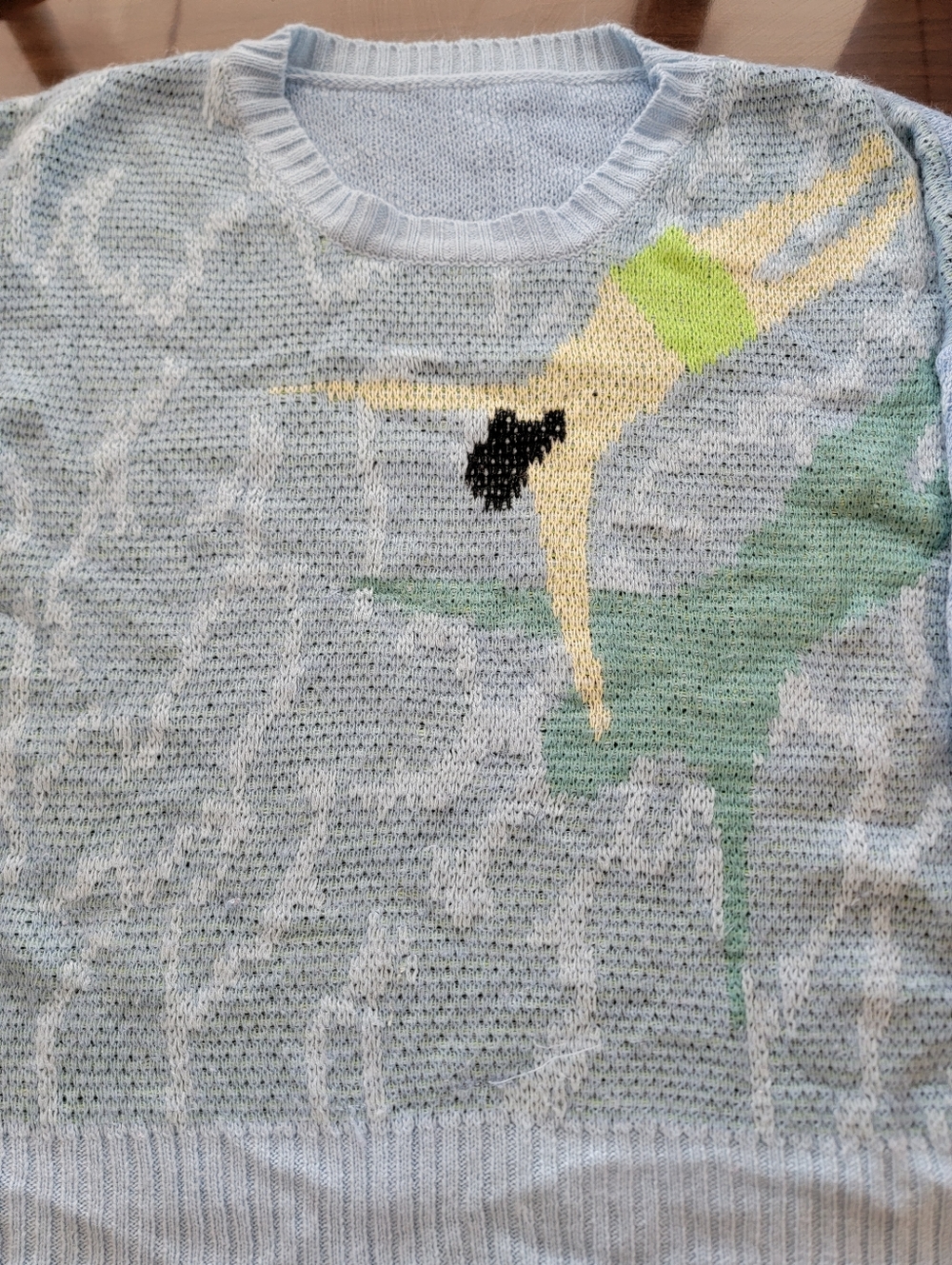 Swimming Girl Sweater